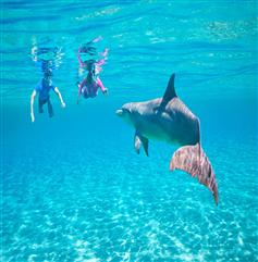 images